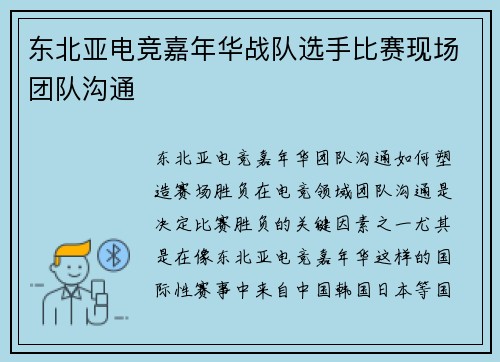 东北亚电竞嘉年华战队选手比赛现场团队沟通
